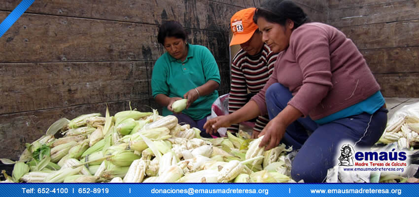Donacion Alimento
