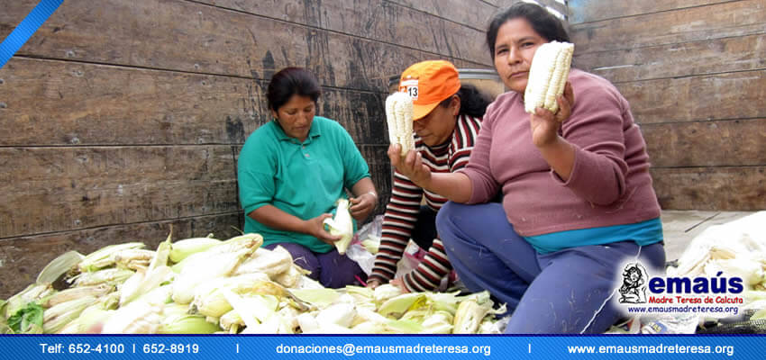 Donacion Alimento