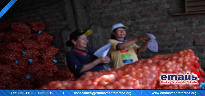Donación cebollas