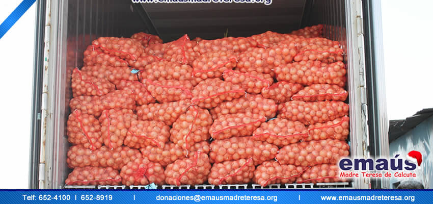 Donación cebollas