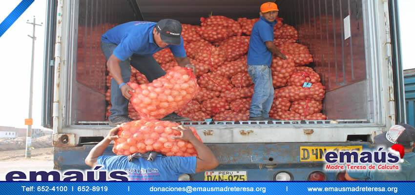 Donación cebollas