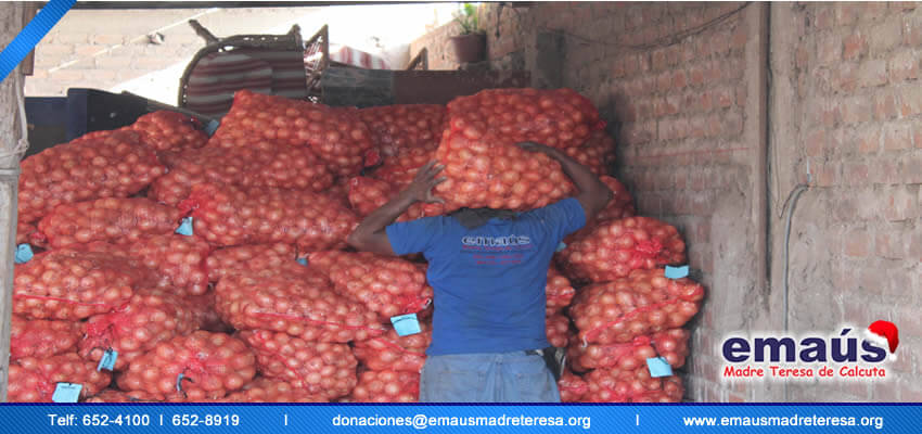 Donación cebollas
